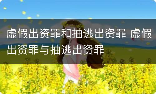 虚假出资罪和抽逃出资罪 虚假出资罪与抽逃出资罪