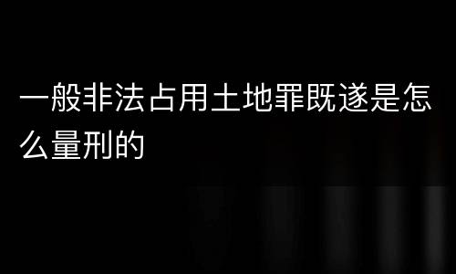 一般非法占用土地罪既遂是怎么量刑的