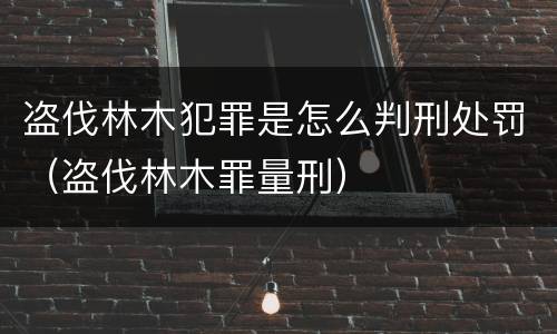 盗伐林木犯罪是怎么判刑处罚（盗伐林木罪量刑）