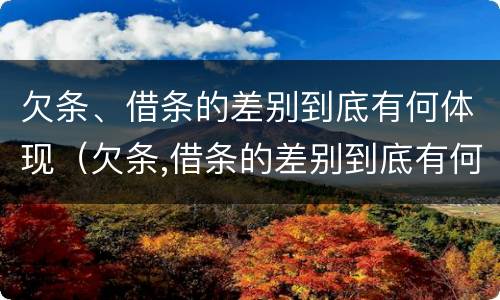 欠条、借条的差别到底有何体现（欠条,借条的差别到底有何体现啊）