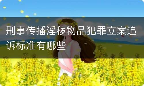 刑事传播淫秽物品犯罪立案追诉标准有哪些