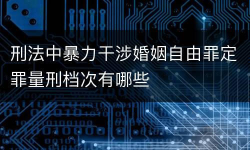 刑法中暴力干涉婚姻自由罪定罪量刑档次有哪些