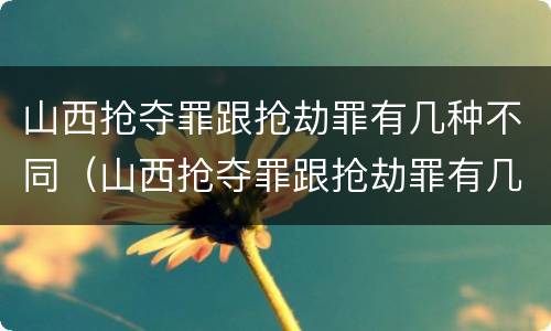 山西抢夺罪跟抢劫罪有几种不同（山西抢夺罪跟抢劫罪有几种不同处罚）