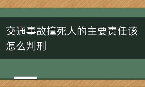 交通事故撞死人的主要责任该怎么判刑