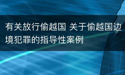 有关放行偷越国 关于偷越国边境犯罪的指导性案例