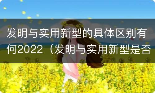 发明与实用新型的具体区别有何2022（发明与实用新型是否具有实用性）