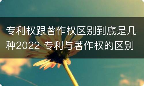 专利权跟著作权区别到底是几种2022 专利与著作权的区别