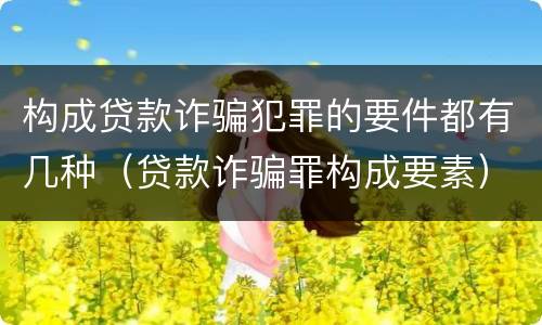 构成贷款诈骗犯罪的要件都有几种（贷款诈骗罪构成要素）
