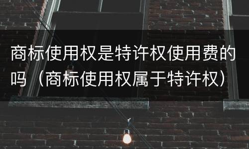 商标使用权是特许权使用费的吗（商标使用权属于特许权）