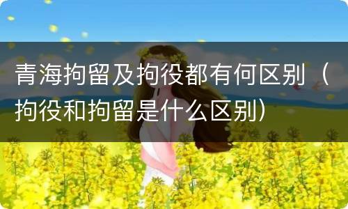 青海拘留及拘役都有何区别（拘役和拘留是什么区别）