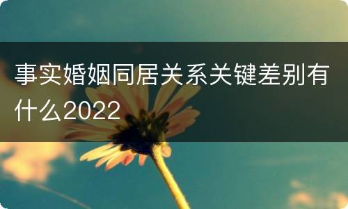 事实婚姻同居关系关键差别有什么2022