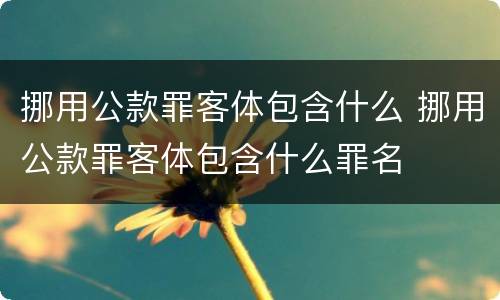 挪用公款罪客体包含什么 挪用公款罪客体包含什么罪名