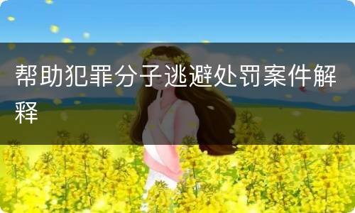 帮助犯罪分子逃避处罚案件解释
