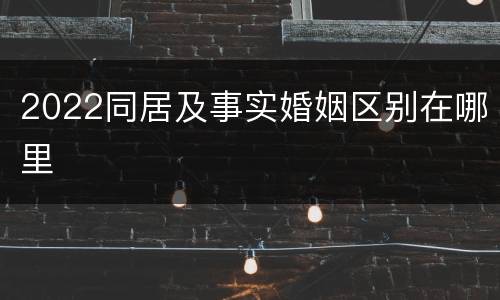 2022同居及事实婚姻区别在哪里