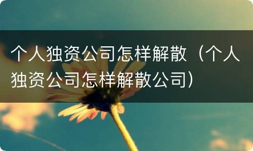 个人独资公司怎样解散（个人独资公司怎样解散公司）