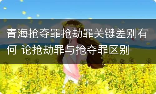 青海抢夺罪抢劫罪关键差别有何 论抢劫罪与抢夺罪区别