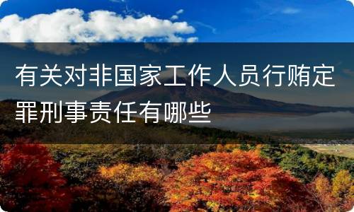 有关对非国家工作人员行贿定罪刑事责任有哪些