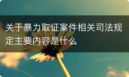 关于暴力取证案件相关司法规定主要内容是什么