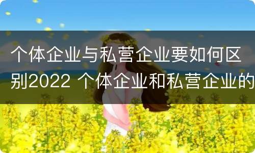 个体企业与私营企业要如何区别2022 个体企业和私营企业的区别