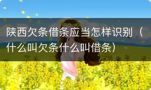 陕西欠条借条应当怎样识别（什么叫欠条什么叫借条）