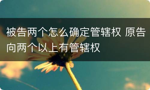被告两个怎么确定管辖权 原告向两个以上有管辖权