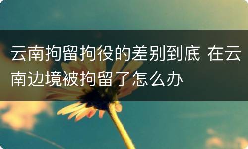 云南拘留拘役的差别到底 在云南边境被拘留了怎么办