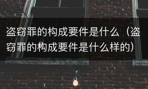 盗窃罪的构成要件是什么（盗窃罪的构成要件是什么样的）