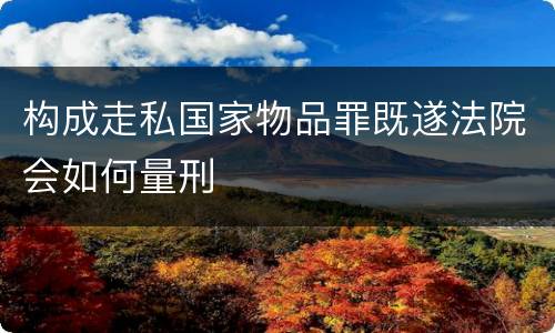 构成走私国家物品罪既遂法院会如何量刑