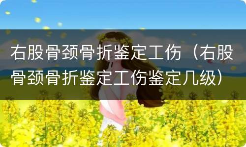 右股骨颈骨折鉴定工伤（右股骨颈骨折鉴定工伤鉴定几级）