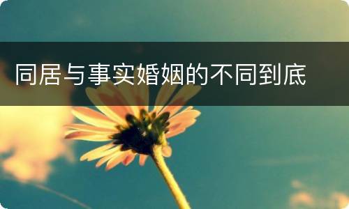 同居与事实婚姻的不同到底