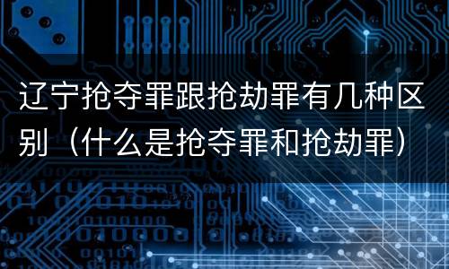 辽宁抢夺罪跟抢劫罪有几种区别（什么是抢夺罪和抢劫罪）