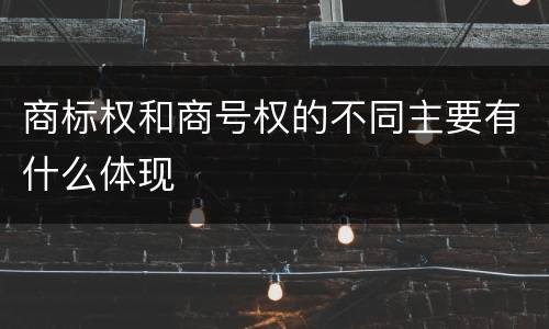 商标权和商号权的不同主要有什么体现