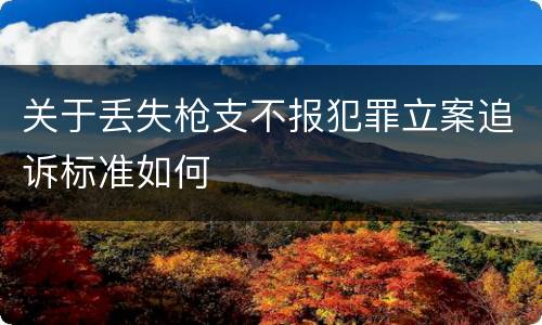 关于丢失枪支不报犯罪立案追诉标准如何