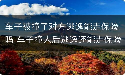 车子被撞了对方逃逸能走保险吗 车子撞人后逃逸还能走保险吗
