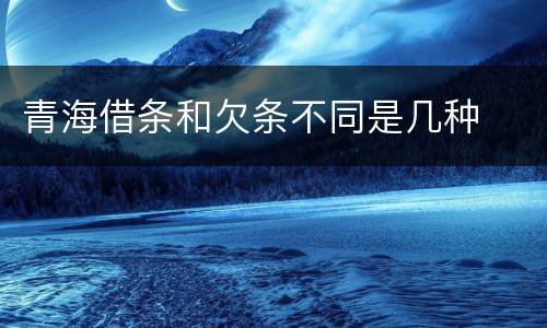 青海借条和欠条不同是几种