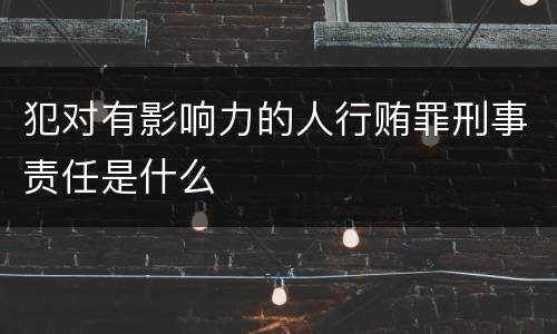 犯对有影响力的人行贿罪刑事责任是什么