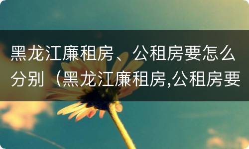 黑龙江廉租房、公租房要怎么分别（黑龙江廉租房,公租房要怎么分别摇号）