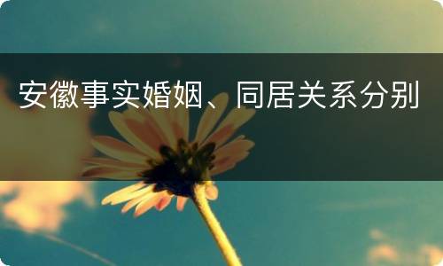 安徽事实婚姻、同居关系分别