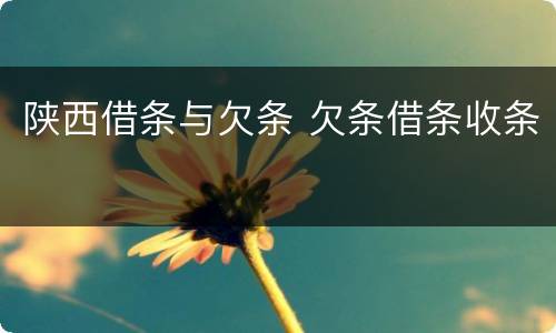 陕西借条与欠条 欠条借条收条