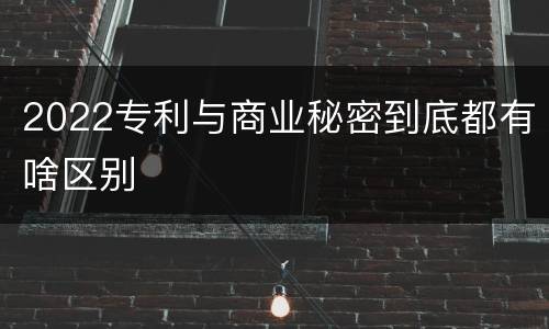 2022专利与商业秘密到底都有啥区别