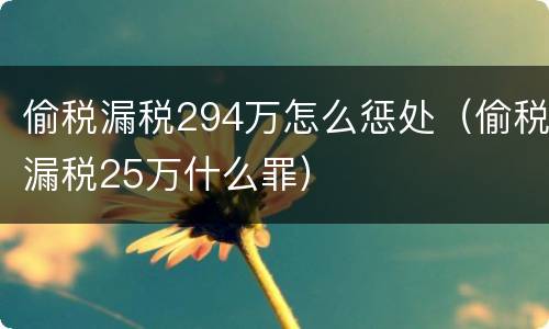偷税漏税294万怎么惩处（偷税漏税25万什么罪）