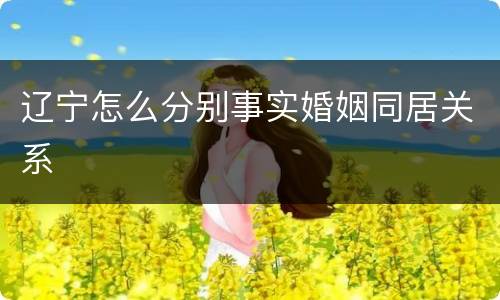 辽宁怎么分别事实婚姻同居关系