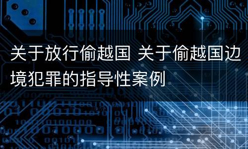 关于放行偷越国 关于偷越国边境犯罪的指导性案例