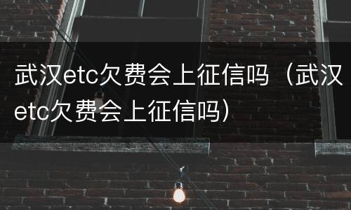 武汉etc欠费会上征信吗（武汉etc欠费会上征信吗）