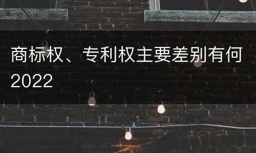 商标权、专利权主要差别有何2022