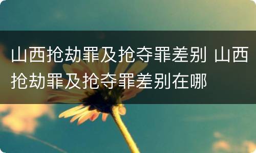 山西抢劫罪及抢夺罪差别 山西抢劫罪及抢夺罪差别在哪