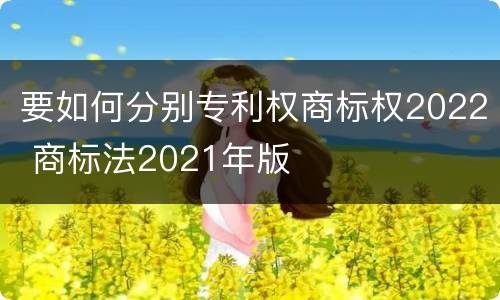 要如何分别专利权商标权2022 商标法2021年版