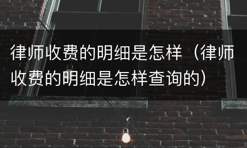 律师收费的明细是怎样（律师收费的明细是怎样查询的）