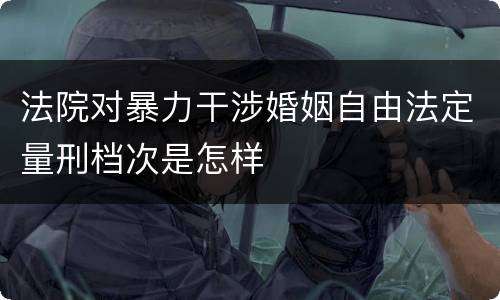 法院对暴力干涉婚姻自由法定量刑档次是怎样