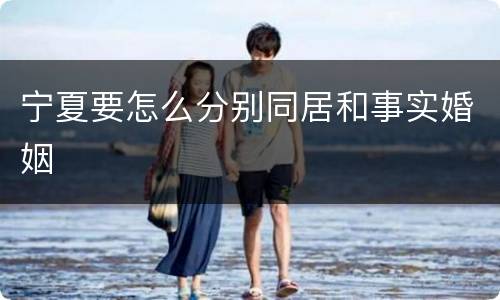 宁夏要怎么分别同居和事实婚姻